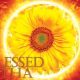 Blessings on Summer Solstice