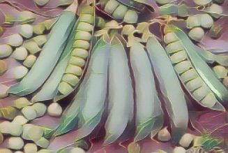 Kitchen Witch: Pea