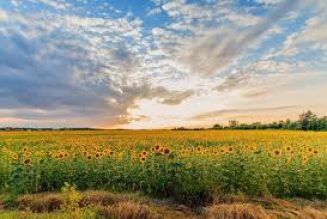 Litha History – Celebrating the Summer Solstice