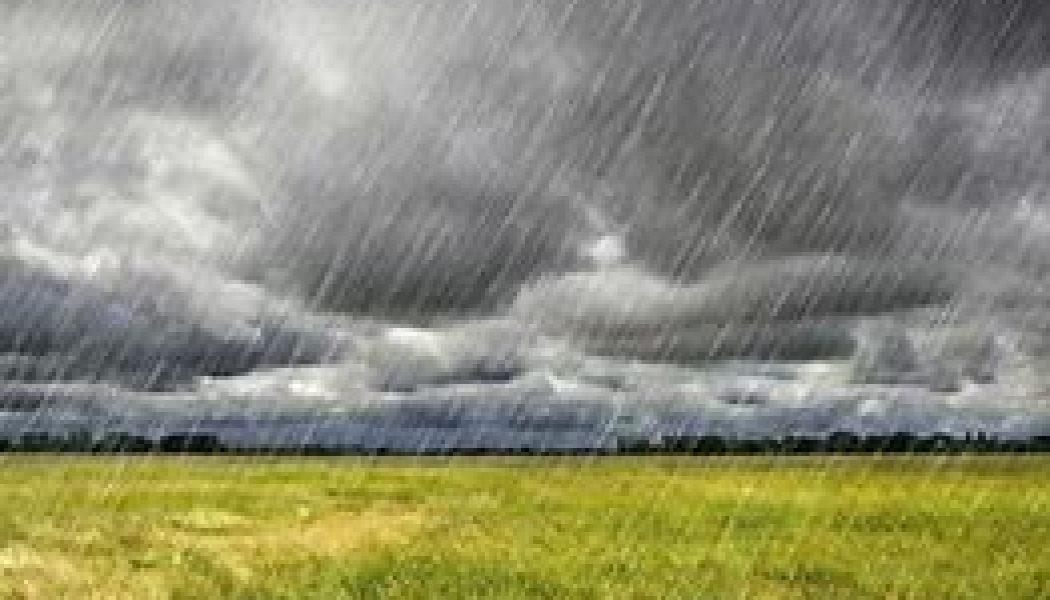 Rite of Rain