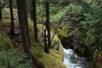 Rite of the Mountain