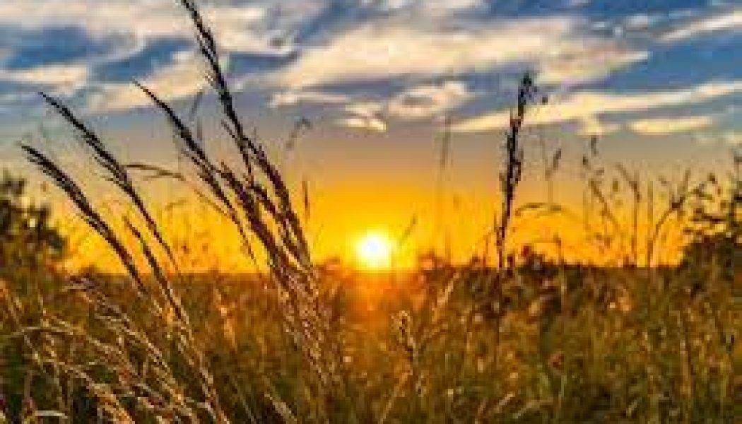 Summer Solstice: Longest and Shortest Day of the Year