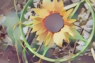 Summer Solstice Rites and Rituals for a Hedgewitch