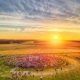 Summer Solstice Wales