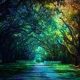 A Magickal Place