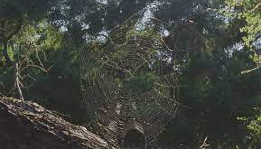 A Life with Natural Magick