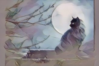 Black Cat Protection Spell