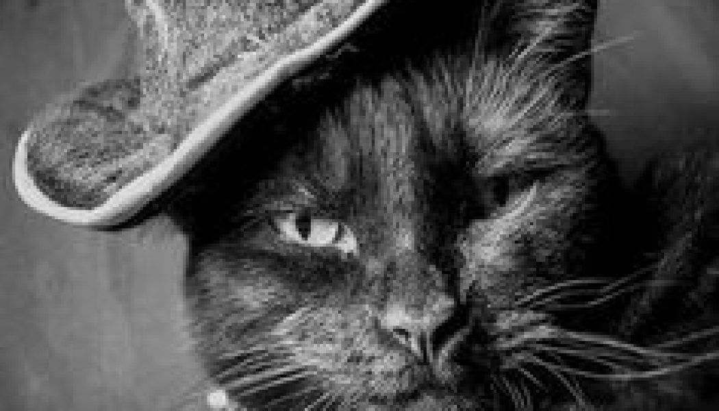 Cats as Witches Familiars