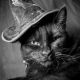 Cats as Witches Familiars