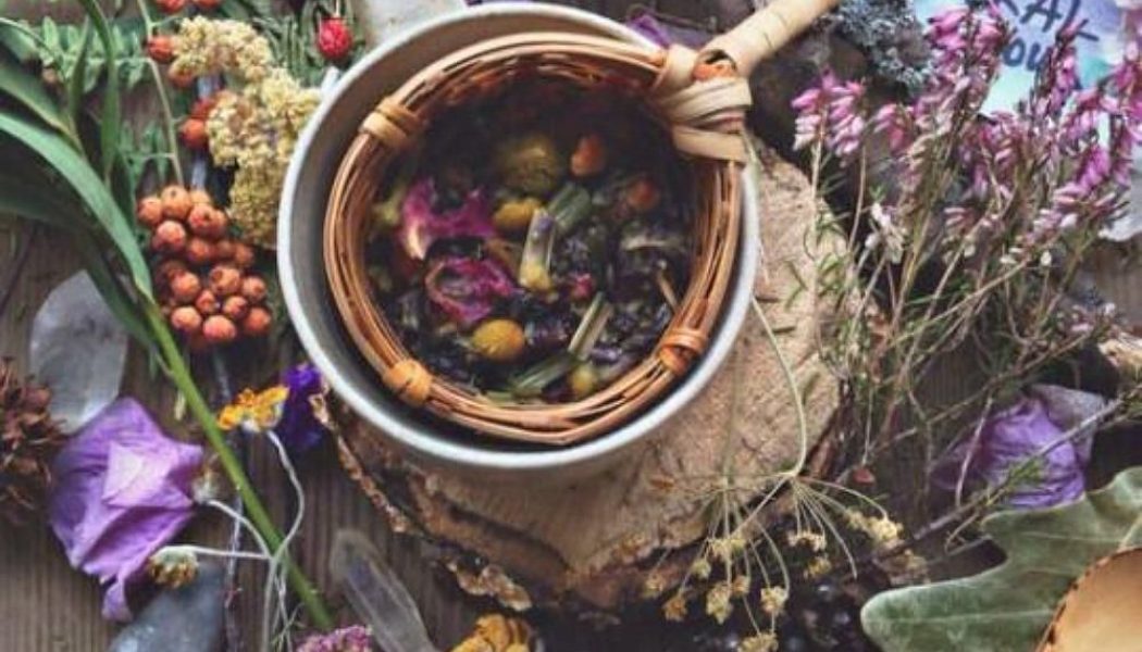 Introduction to Aromatherapy