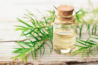 The healing power of Tea Tree Oil