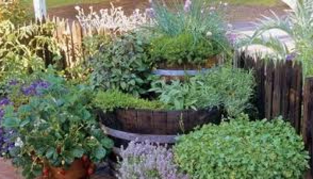 Magickal Herbal House Washes