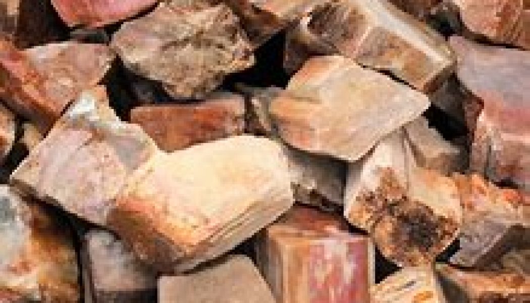 Petrified Wood