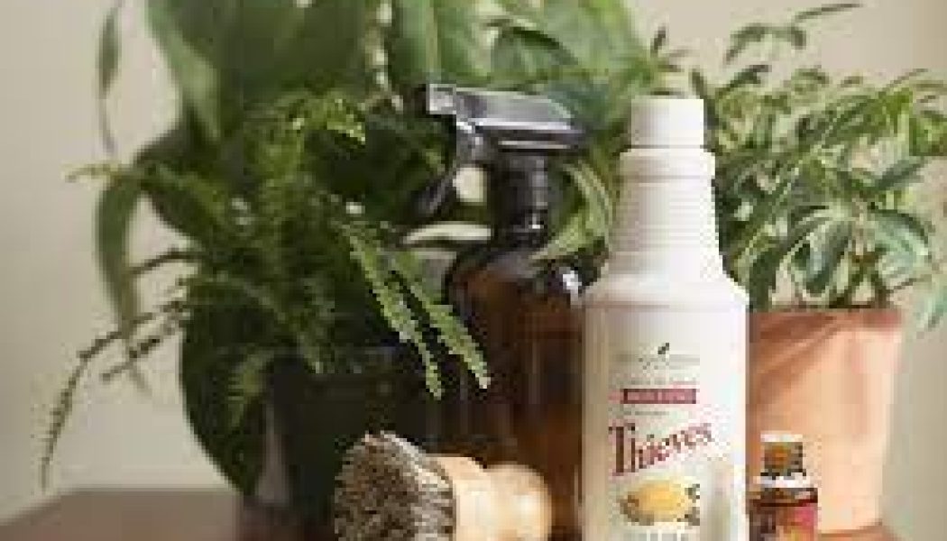Spring Cleaning Recipes