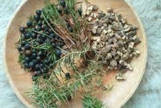 Overlooked Herbs