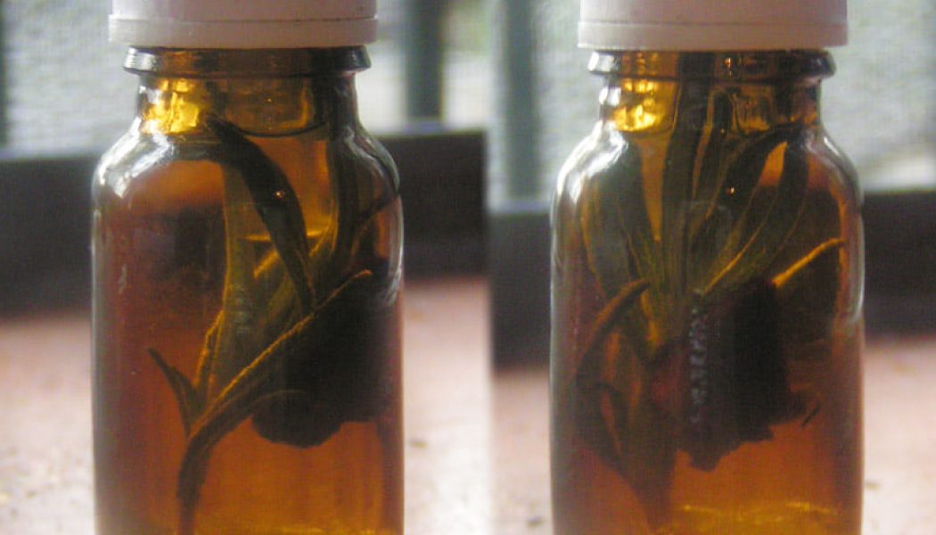 Attraction Love Oil
