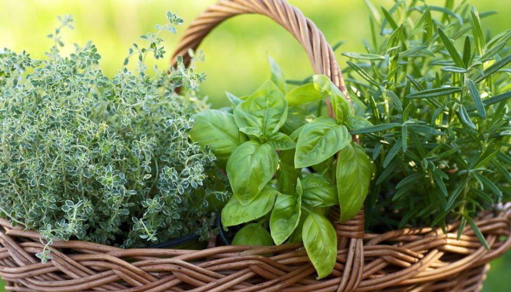 Easy To Find Ingredients