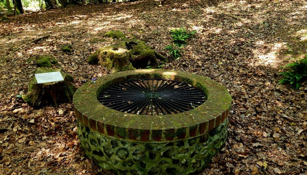 St. Frideswide’s well