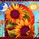 Summer Solstice Celebration