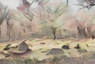 Nature Circle’
