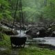The Witch’s Cauldron: Origins, Magic & How to Use a Cauldron Today