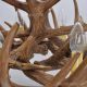 Antler Charm