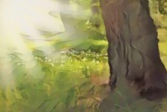 Spell to Heal the Earth