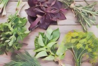 Herbs Listed by Medical Symptom A