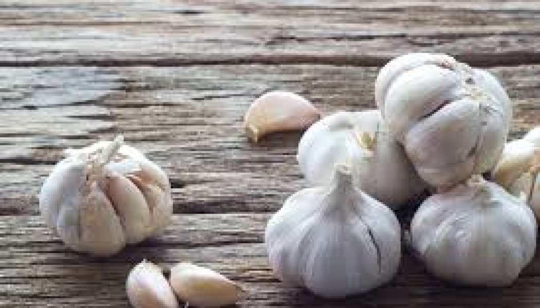 Kitchen Herbs for Witches: Garlic