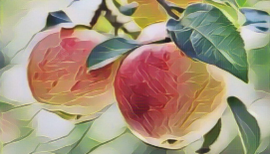 Ingredients for a Kitchen Witch: Apple – Love