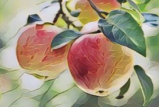 Ingredients for a Kitchen Witch: Apple – Love