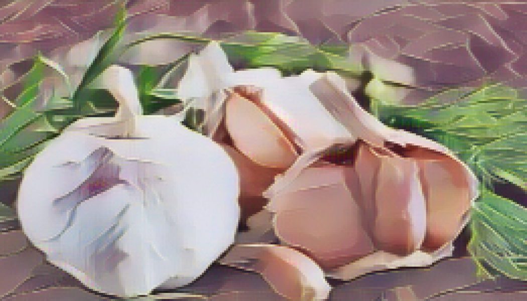Ingredients for a Kitchen Witch: Garlic – Healing