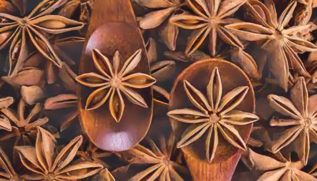 Kitchen Herbs for Witches: Anise