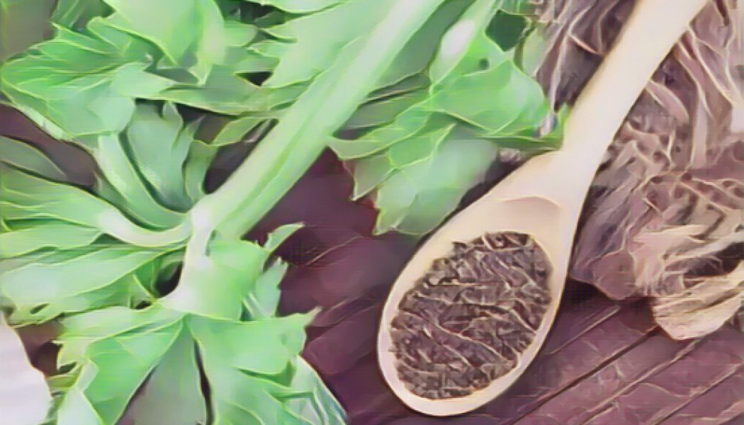 Kitchen Herbs for Witches: Celery seed
