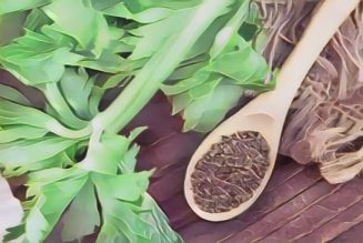 Kitchen Herbs for Witches: Celery seed