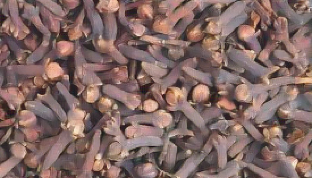 Kitchen Herbs for Witches: Cloves