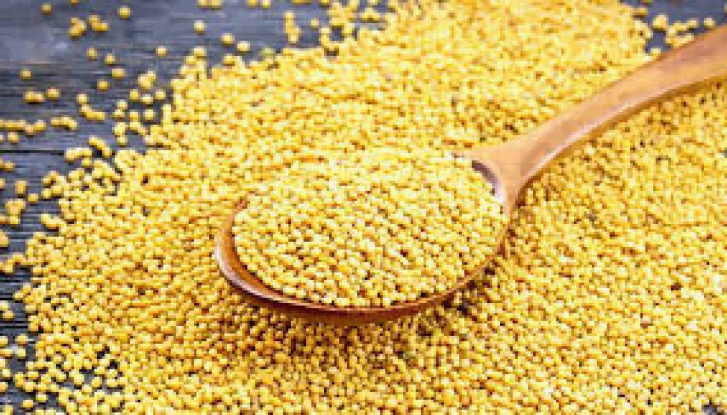 Kitchen Herbs for Witches: Mustard Seed
