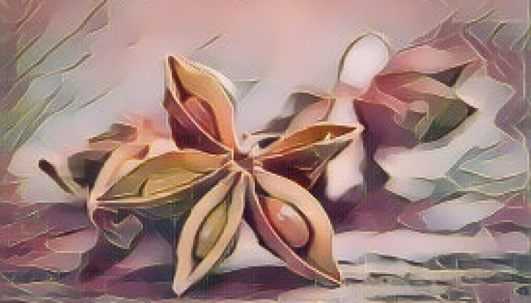 Kitchen Herbs for Witches: Star Anise 
